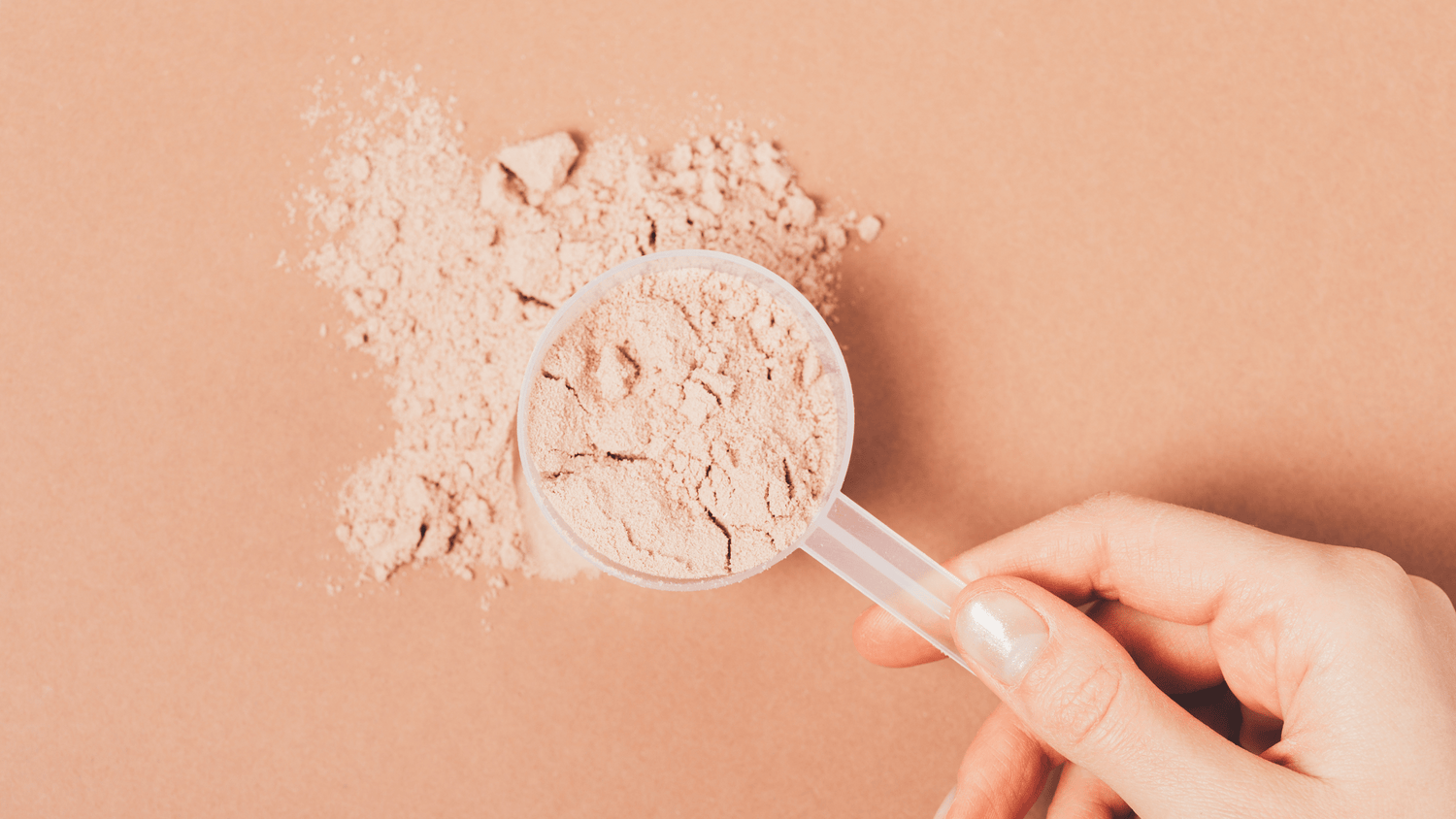 low carb protein powder