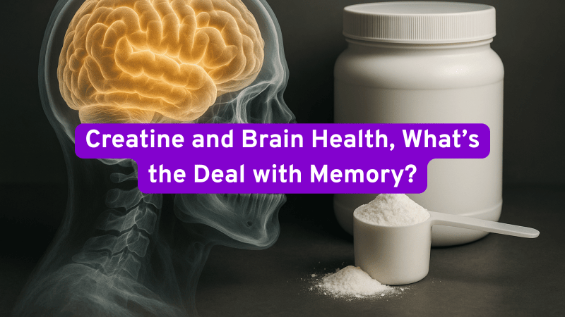 Creatine and Brain Health, What’s the Deal with Memory? – Australian ...