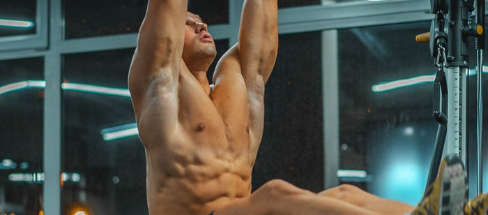 Comp Prep & Reverse Dieting