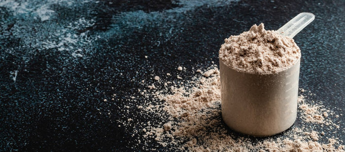 Can You Eat Too Much Protein?