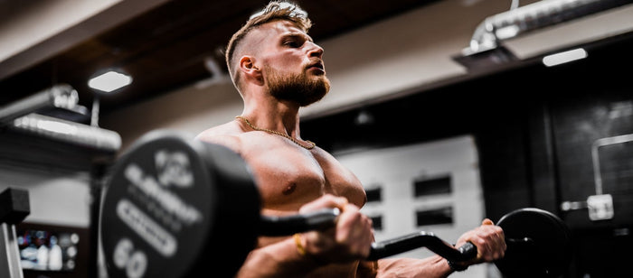 5 TIPS FOR GAINING MUSCLE BLOG