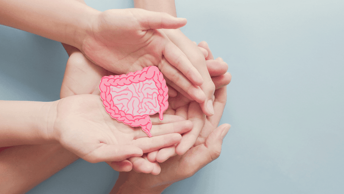 gut health
