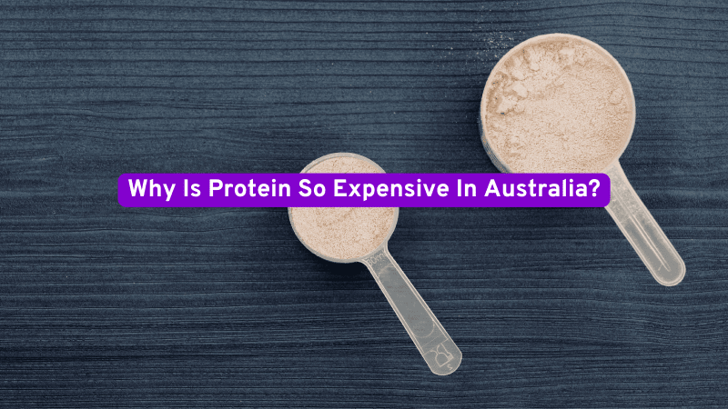 why is protein so expensive 