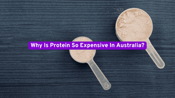 why is protein so expensive 