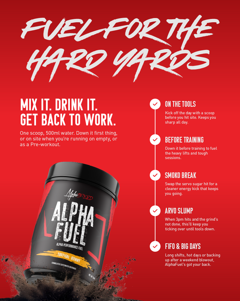 Alphafuel PDP Breakdown Mobile