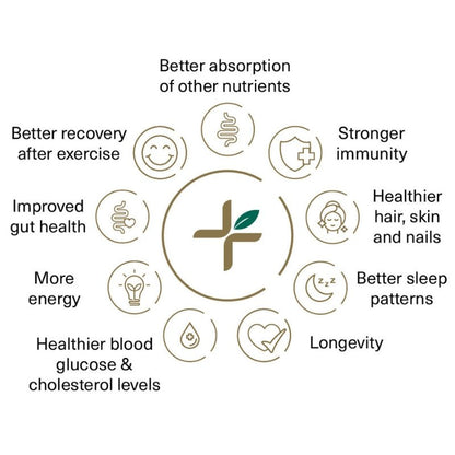 Cell Wellness Co Cell Charge