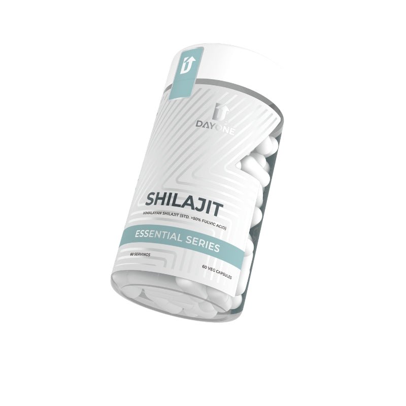 Day One Shilajit (500mg/c)
