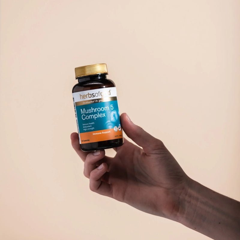 Herbs of Gold Mushroom 5 Complex 