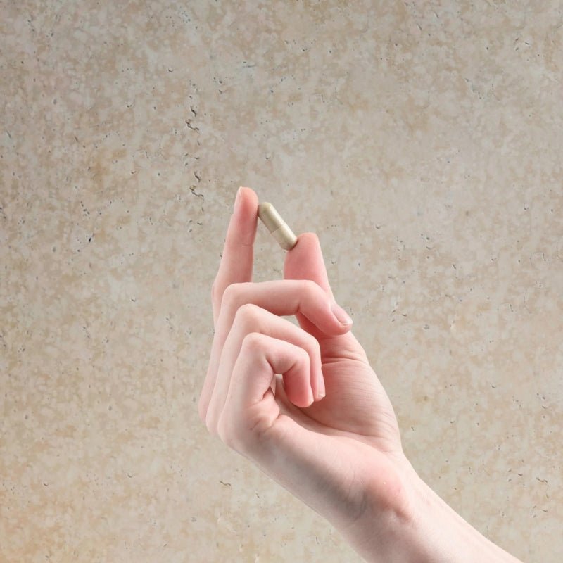 Herbs of Gold Resveratrol Advanced Sports Nutritionantage